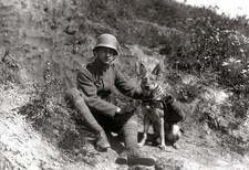 German War animals World War I 13x19 WWI WW1 Photo 59
