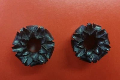 Black Leather Lotus Flower Water Buffalo Horn Ear Tunnels 18mm 11/16” Gauges NEW - Image 1 of 4