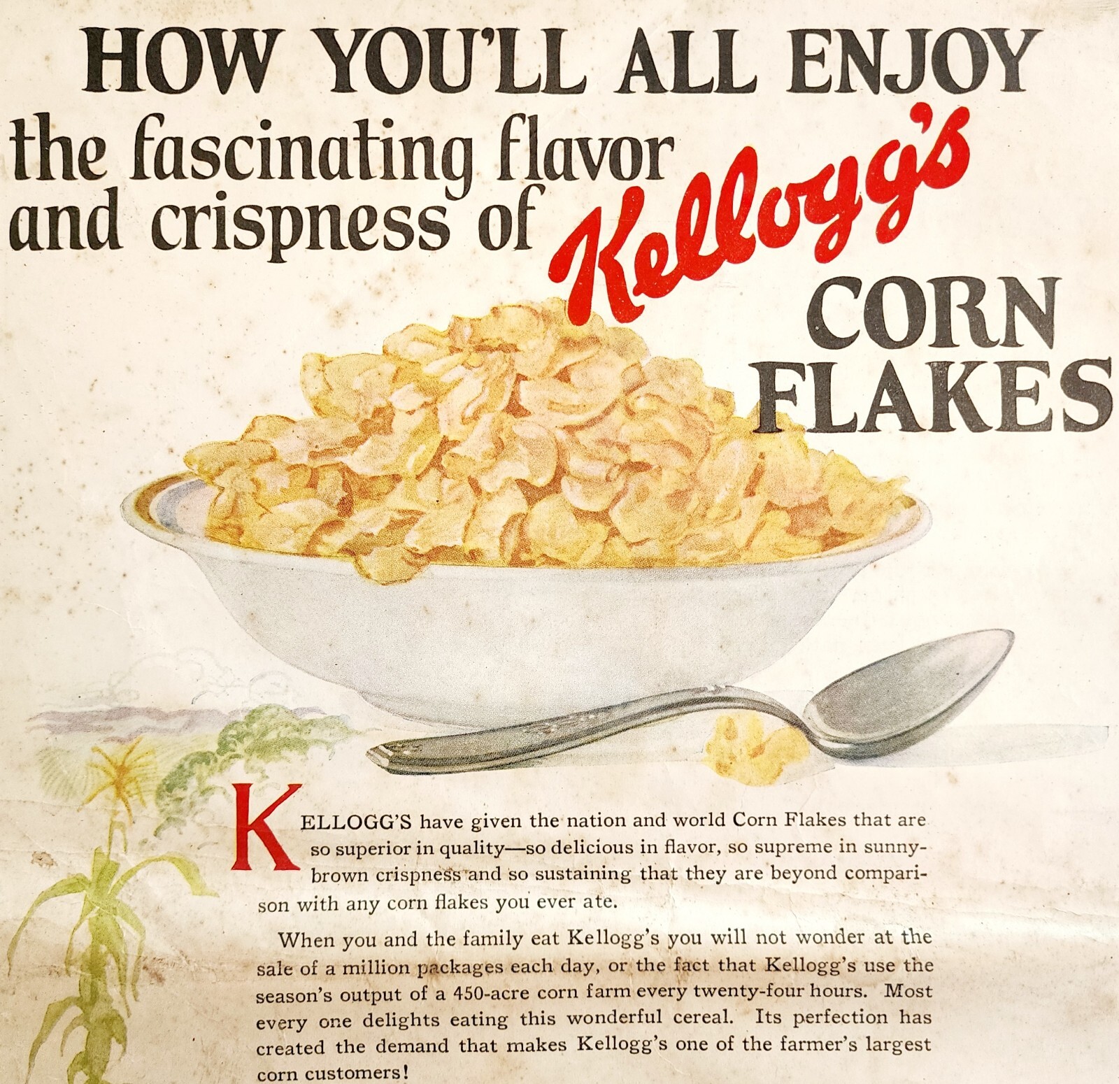 1920 Kelloggs Toasted Corn Flakes Breakfast Art Advertisement Cereal HM2C