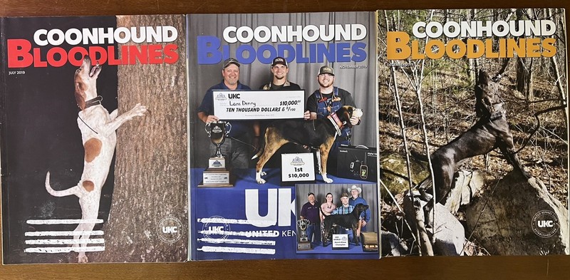 COONHOUND BLOODLINES magazine lot of 3 issues UKC 2019 #CB1
