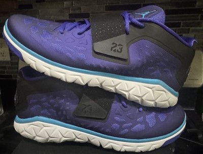 Jordan Flight Flex Trainer Size 15 Purple 1 3 4 5 11 768911-407 12 16