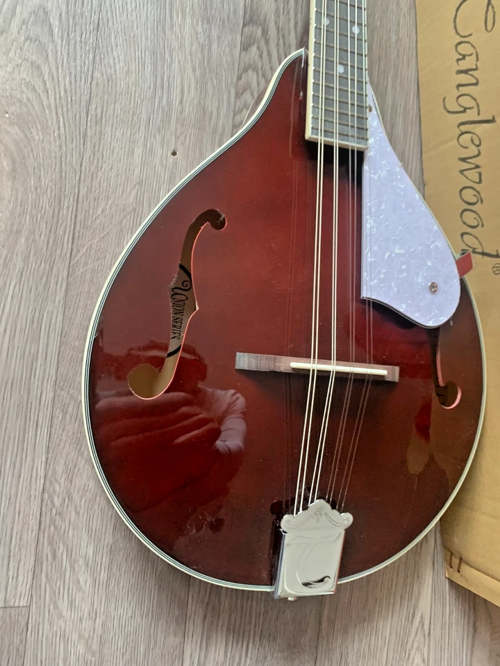 NEW Mandolin By Tanglewood, Model  Number TWMTWR,  Wine Red, Electro Acoustic. - Image 2 of 4
