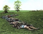 CONFEDERATE DEAD AT ANTIETAM T Civil War PHOTO  (163-B)