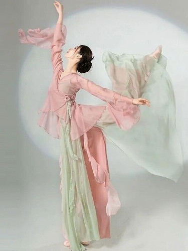 Chinese Classical Dance Dress Half Skirt Chiffon National Style Stage Costume - Afbeelding 1 van 30