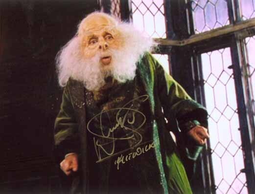 Flitwick Actor 60 Photos - Moonagedaydream.film