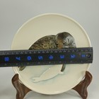 Foto 9 di 11
