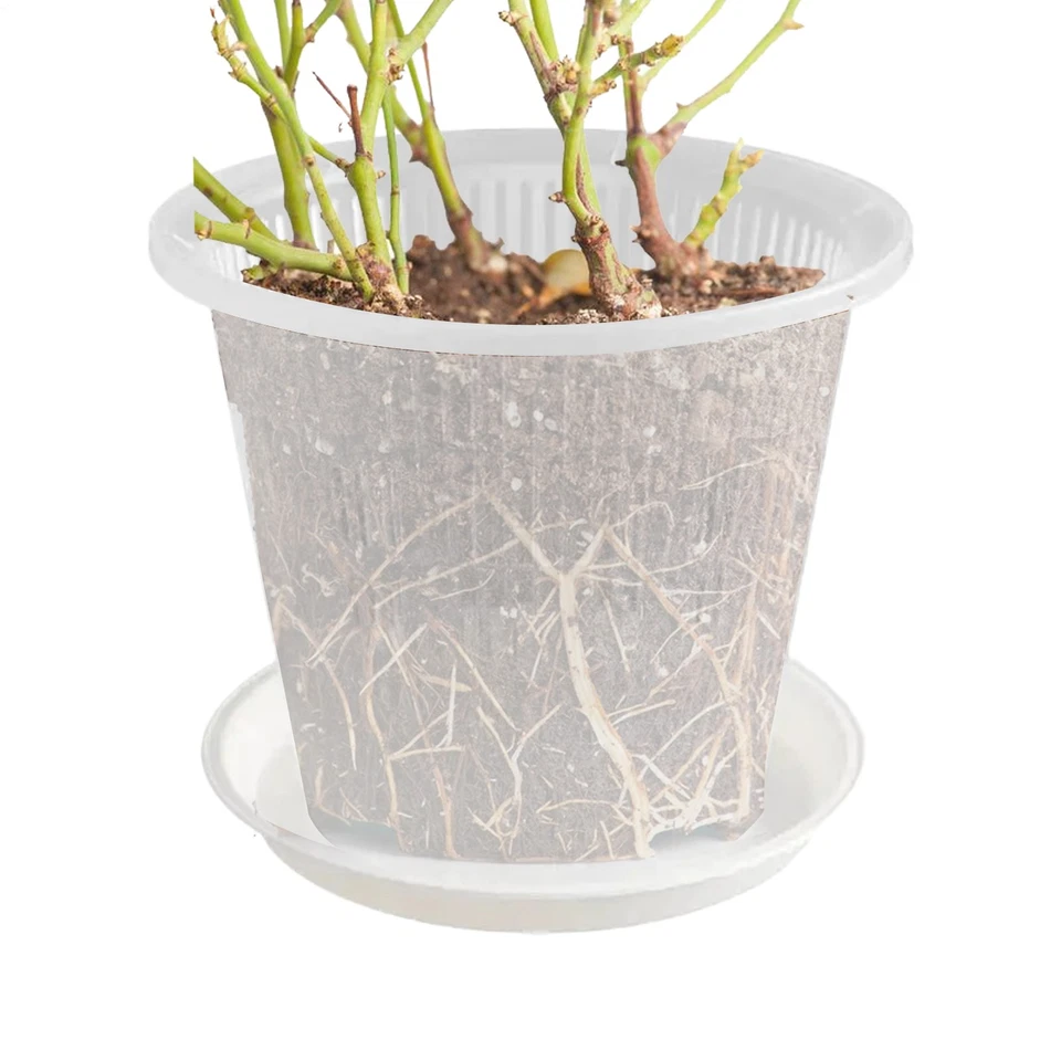 Горшки для орхидей комнатные горшки для орхидей с отверстиями блюдце домашние аксессуары прозрачное растение - Изображение 3 из 4