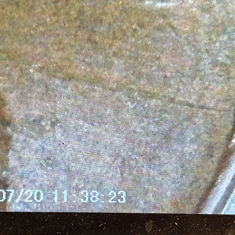 1957D Lincoln Penny Clad Cracking Across Entire Penny From 3:30 -9:30 prominent - Image 4 of 4