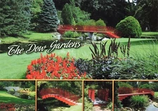 Postcard MI The Dow Gardens Chemical Company Flowers Bridges Continental 6x4