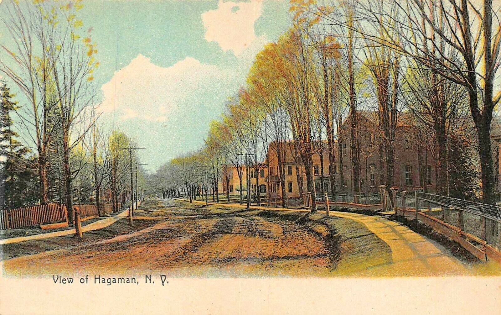 VIEW OF HAGAMAN NEW YORK WITH DIRT ROADSEELY CONOVER 1900s PHOTO