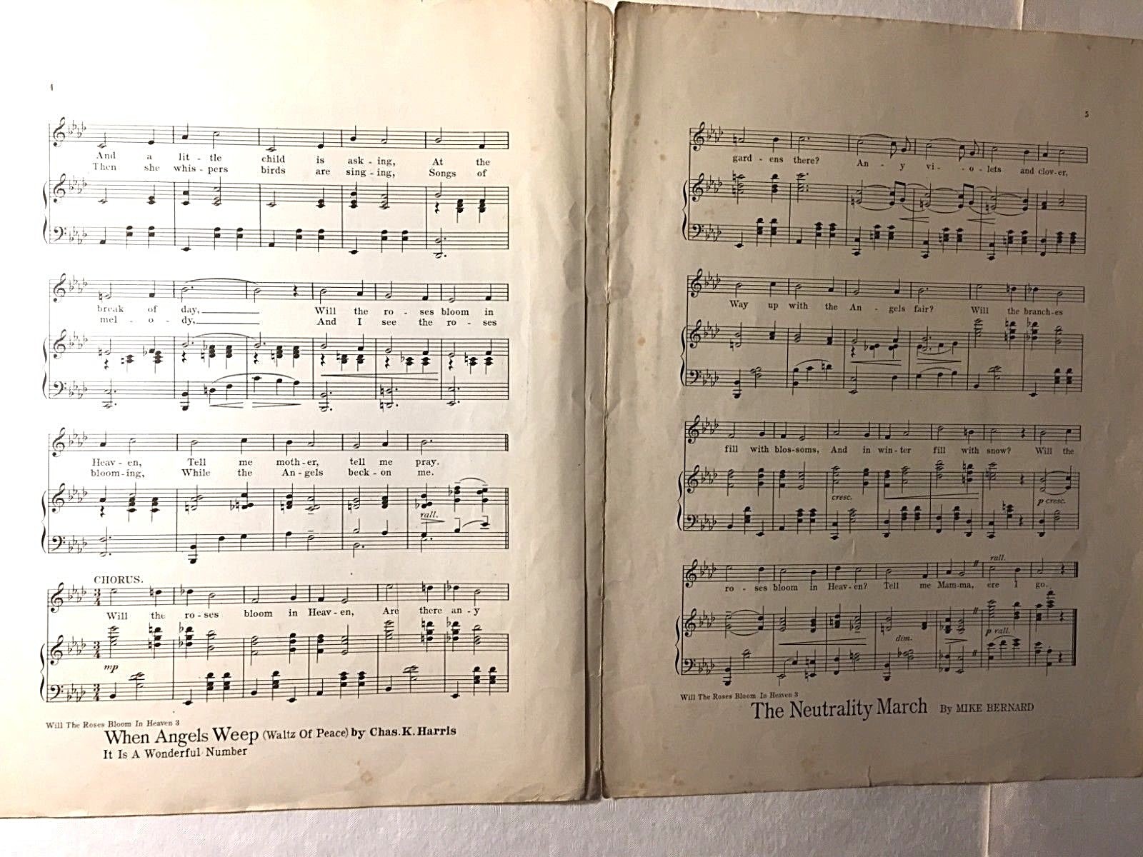 Vintage Sheet Music, Will The Roses Bloom In Heaven, 1911 Chas. K