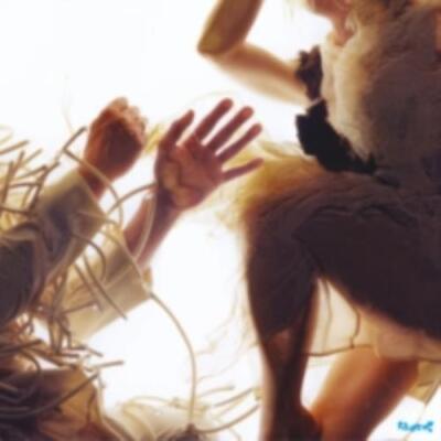 LUMP: ANIMAL (FEAT. LAURA MARLING & MIKE LINDSAY) - LP vinyl *BRAND NEW*