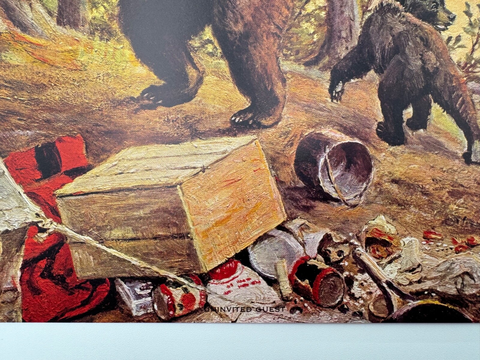 Picture 4 of 5