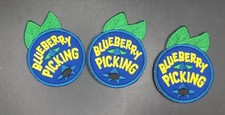 Lot of 3 Girl Boy Cub BLUEBERRY PICKING Basket Trip Day Fun Patches Badge SCOUTS