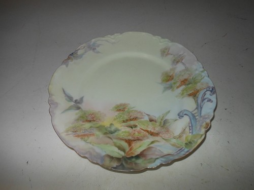 Antiker Teller Haviland Frankreich handbemalt Porzellan Blumenmuster - Bild 17 von 18