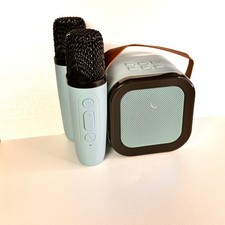 Portable Wireless Karaoke Speaker With 2 Wireless Microphones