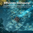 Bild 7 von 8