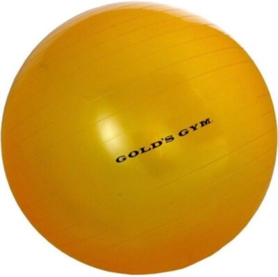 Gold's Gym Anti-Burst Exercise Stability Body Ball 55cm NEW 5'3