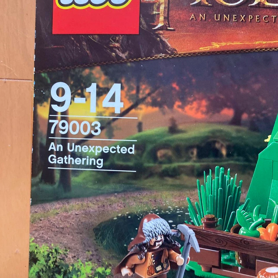 LEGO The Lord of the Rings An Unexpected Gathering 79003 NEW - Image 2 of 4
