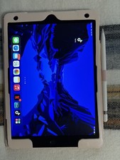 iPad 9th generation with Tik Tok installed UNLOCKED