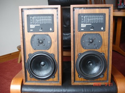 bowers & wilkins dm5
