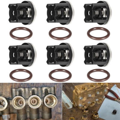 #ad AR1828 Water Pump Check Valves Kit for Annovi Reverberi 18mm XR RKA RKV 70 0179 $30.00