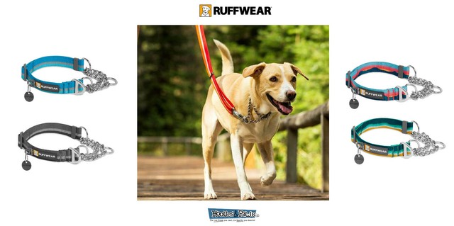 chain reaction collar