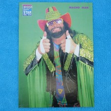 MACHO MAN + I.R.S. Portrait Mini Poster POP ROCKY  1 Seite WRESTLING WWF