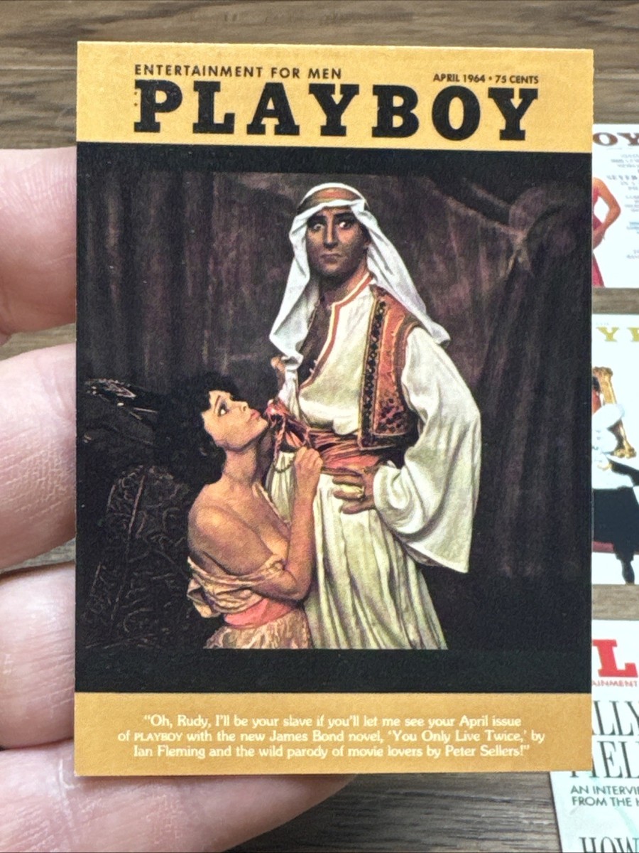 PLAYBOY Magazine Lot Of 19 Cover Issue Trading Cards From