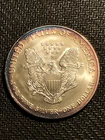2003 TONING 1 oz American Silver Eagle $1 Dollar #47 US Mint Coin Littleton Case