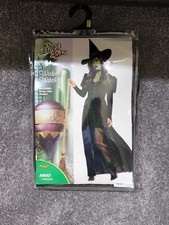 Wizard Of Oz Wicked Witch Halloween Costume Adult