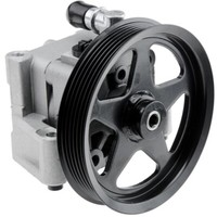 NTY Hydraulikpumpe Lenkung FüR Jaguar S-Type X200 3.0 V6 2.5 XJ X350 X358