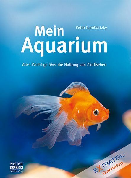 Thumbnail - Mein Aquarium
