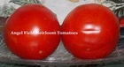 20 Delicious Heirloom Tomato Seeds "Plus 2 Packs of Vegetable Seeds