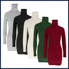 Autumn Winter New Dresses Women Long Sleeves Turtleneck Solid Sexy Bodycon