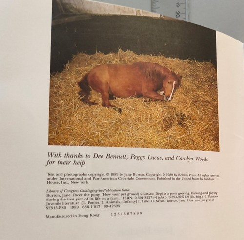 Pacer the Pony 1989 Jane Burton * 1st ed * Birth of Foal, first year to be Horse - Picture 3 of 11
