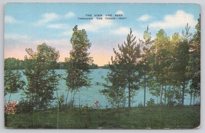 Vintage Linen Postcard - The View One Sees Through The Trees - E. C. Kropp