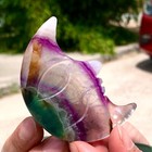 Foto 6 di 20