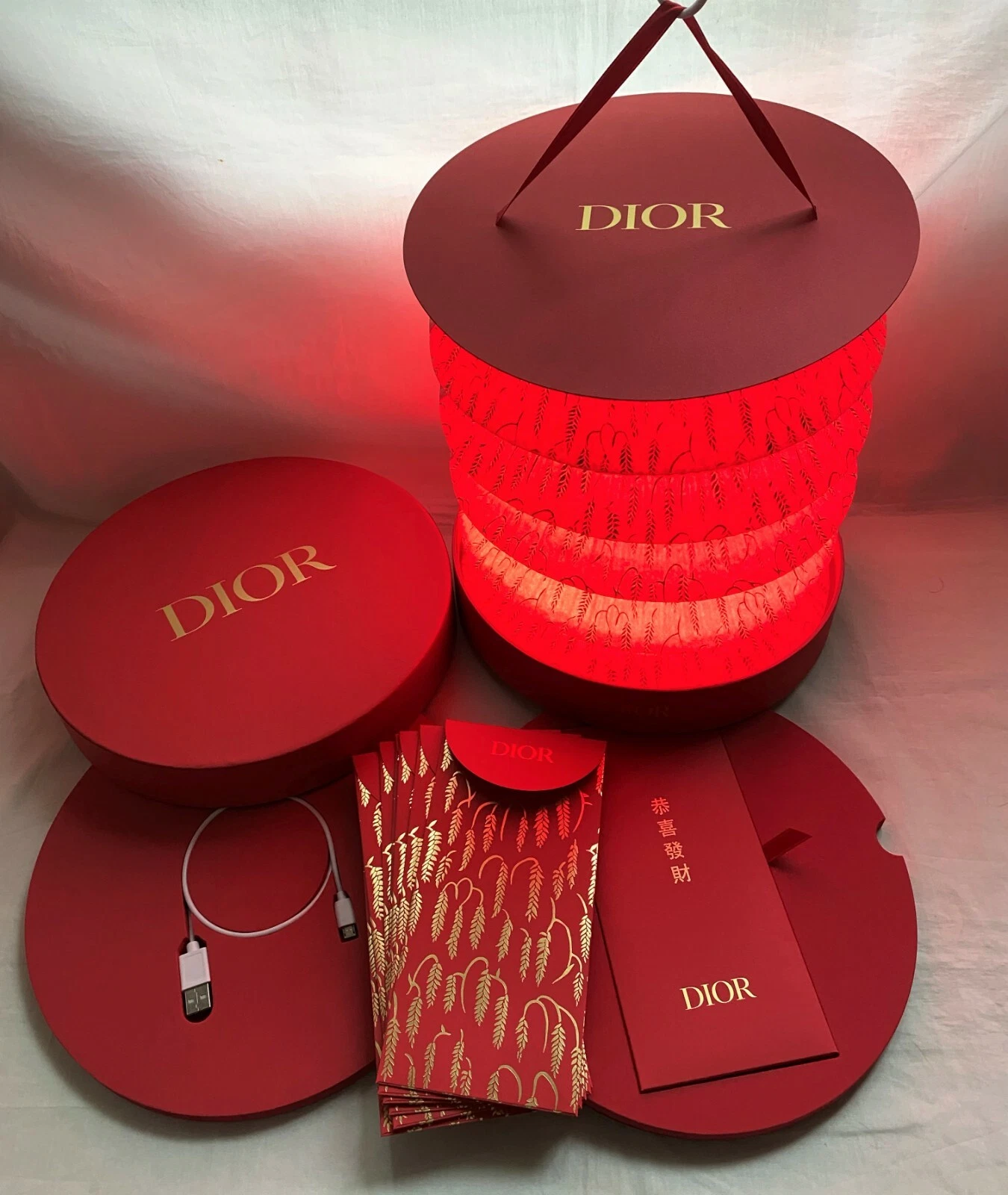 DIOR 2021 lanterne paquet rouge pour toile de jouy selle mug livre fourre tout plaque lancer