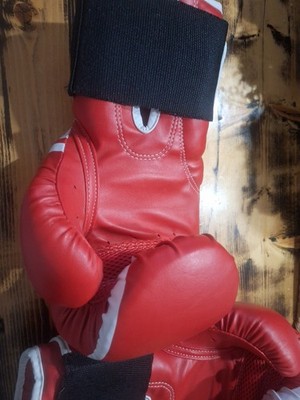  BOXING ドイツ製 赤三本線 タッセル付き 2004 Venum Challenger 2.0 Hook and Loop Training Boxing Gloves - Red