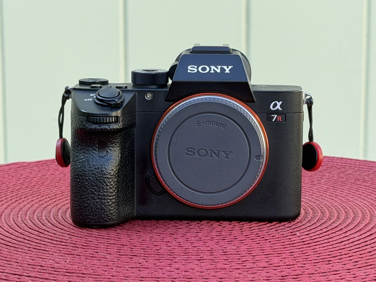 Sony Alpha A7R III Digital Cameras for Sale | Shop New & Used