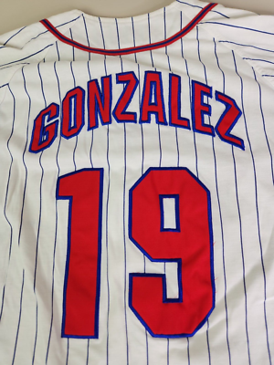 VTG Texas Rangers Juan Gonzalez Baseball Jersey Sewn Starter