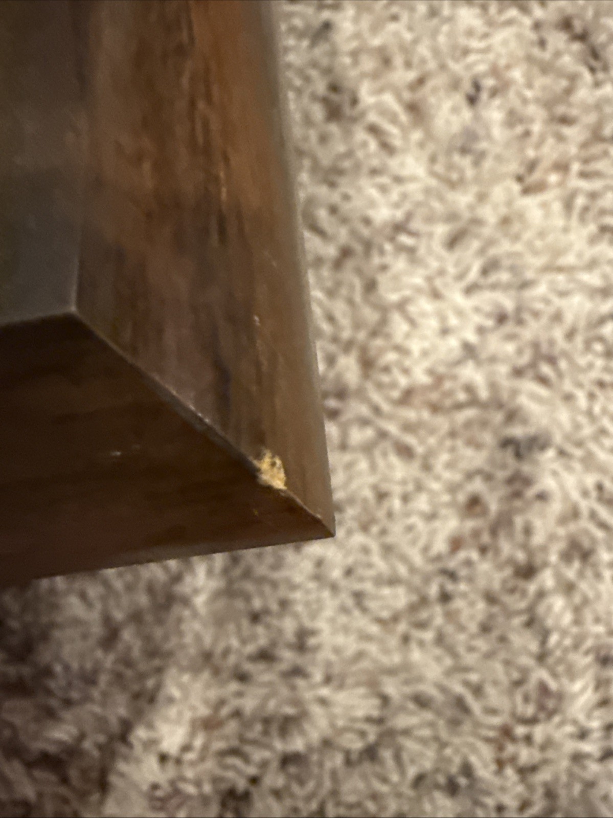 Cleveland Indians Vintage 1995 American League Champions Team Plaque. Most Wins!