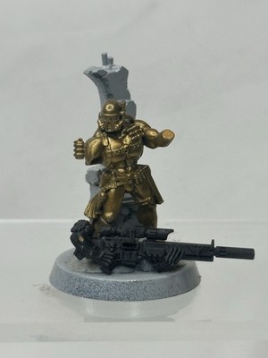 Warhammer 40k Vindicare Assassin Imperial Agent Games Workshop Sniper Miniature