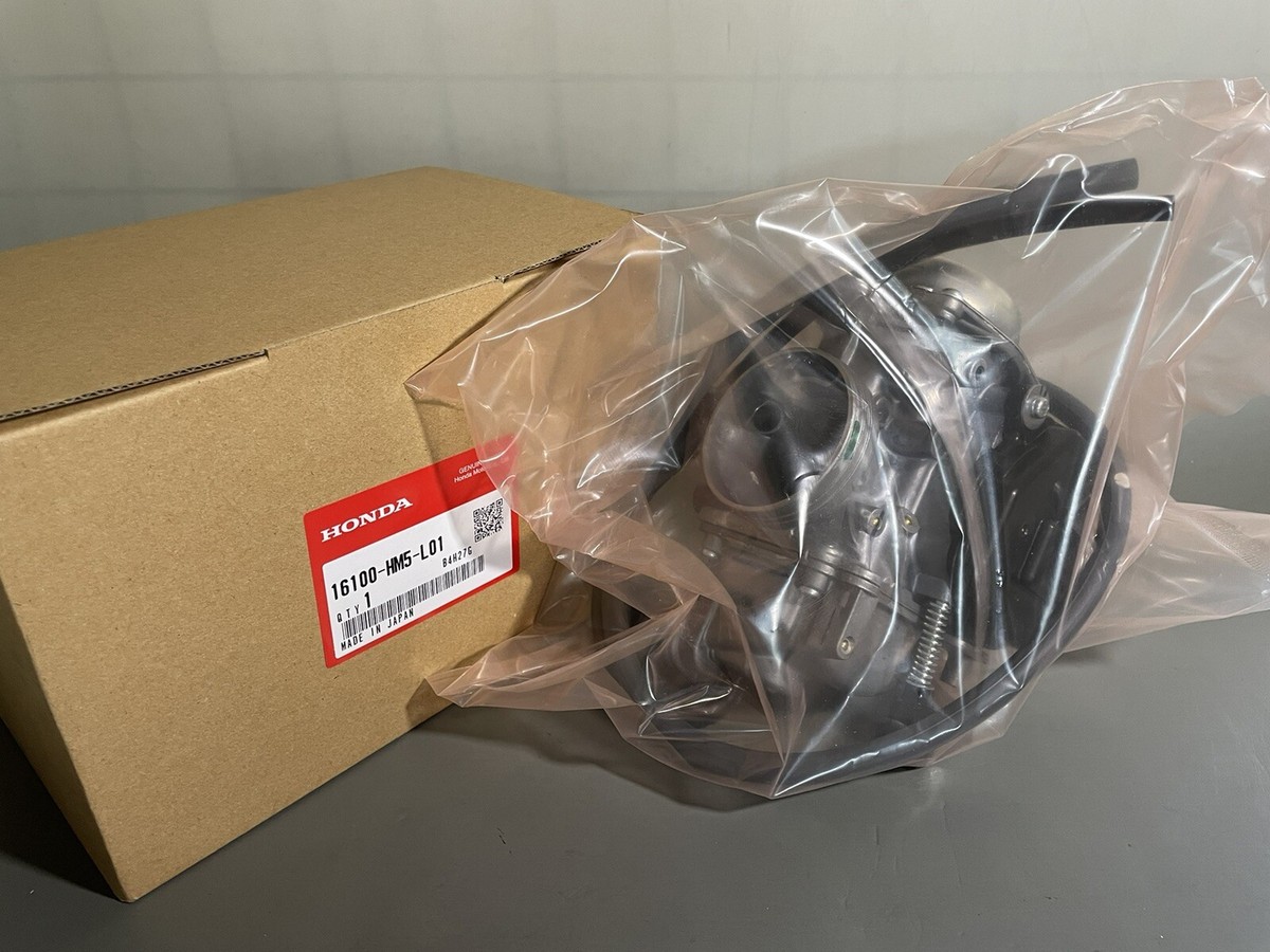 OEM GENUINE NEW HONDA CARBURETOR 16100-HM5-L01 Fourtrax TRX300/FW