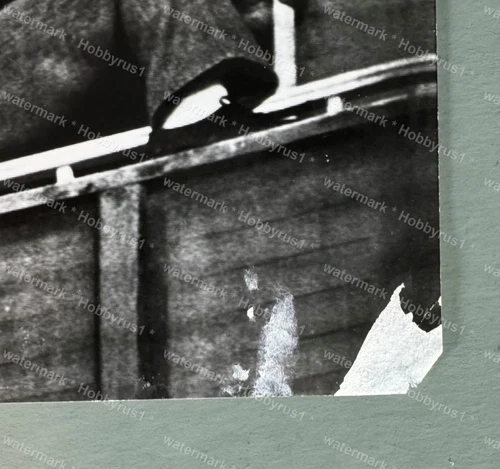 Muhammad ALI ボクシングチャンプヒーロー Saves Life Suicide Attempt 1981 プレス写真 - 画像3/4