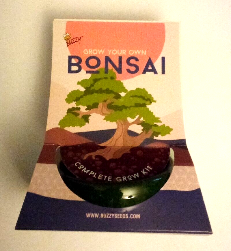 Buzzy Bonsai (Spruce Picea Abies) Complete Grow Kit eBay