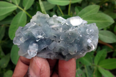 apophyllite w/ chalcedony matrix minerals specimen m-5