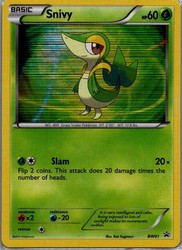 Snivy BW01 Black & White Promo Holo Pokémon TCG