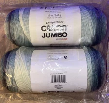 Caron Yarn Jumbo OMBRE - White Water 2-12 Oz Lot 29661919007 Yarnspirations